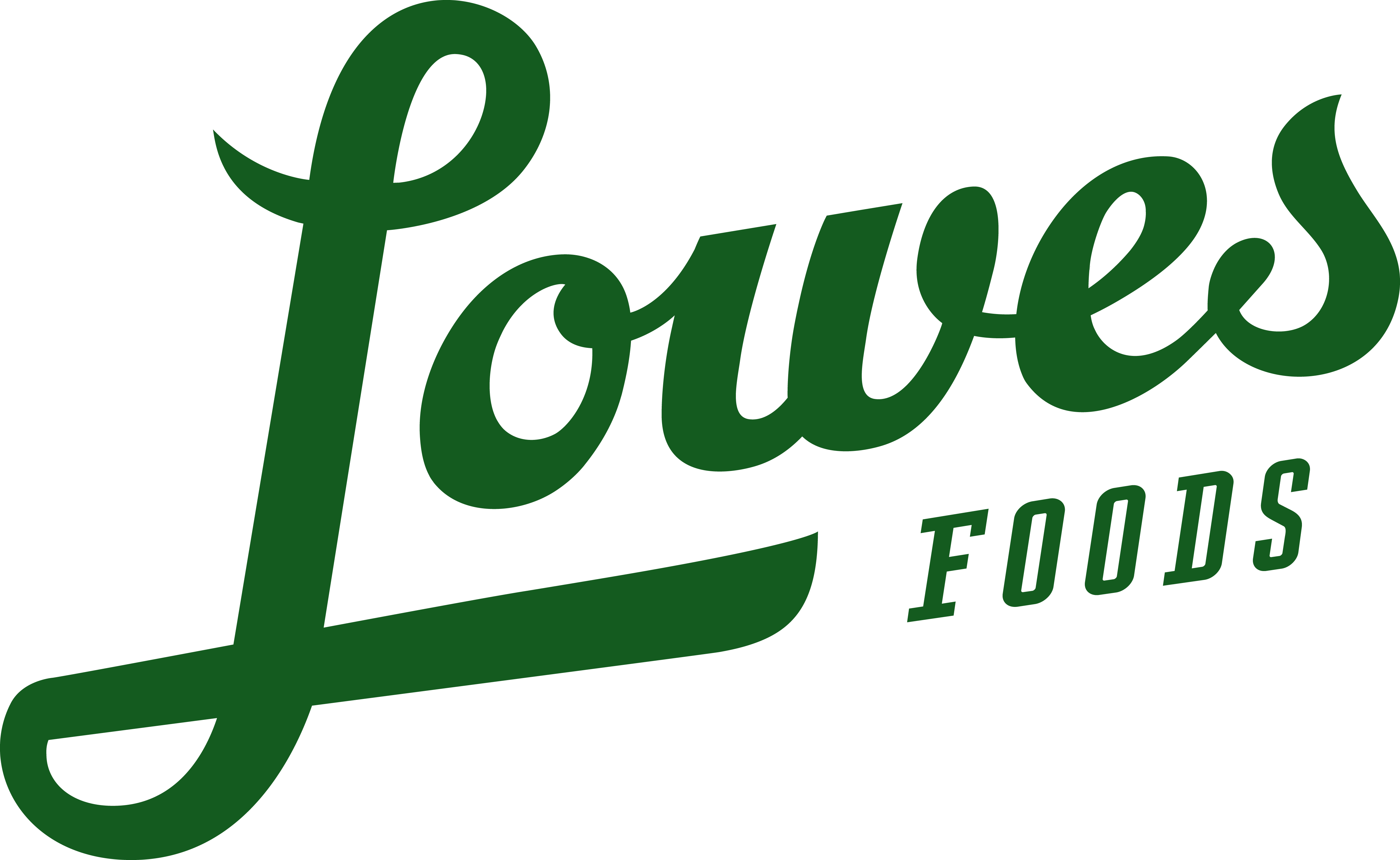 Lowe’s Foods